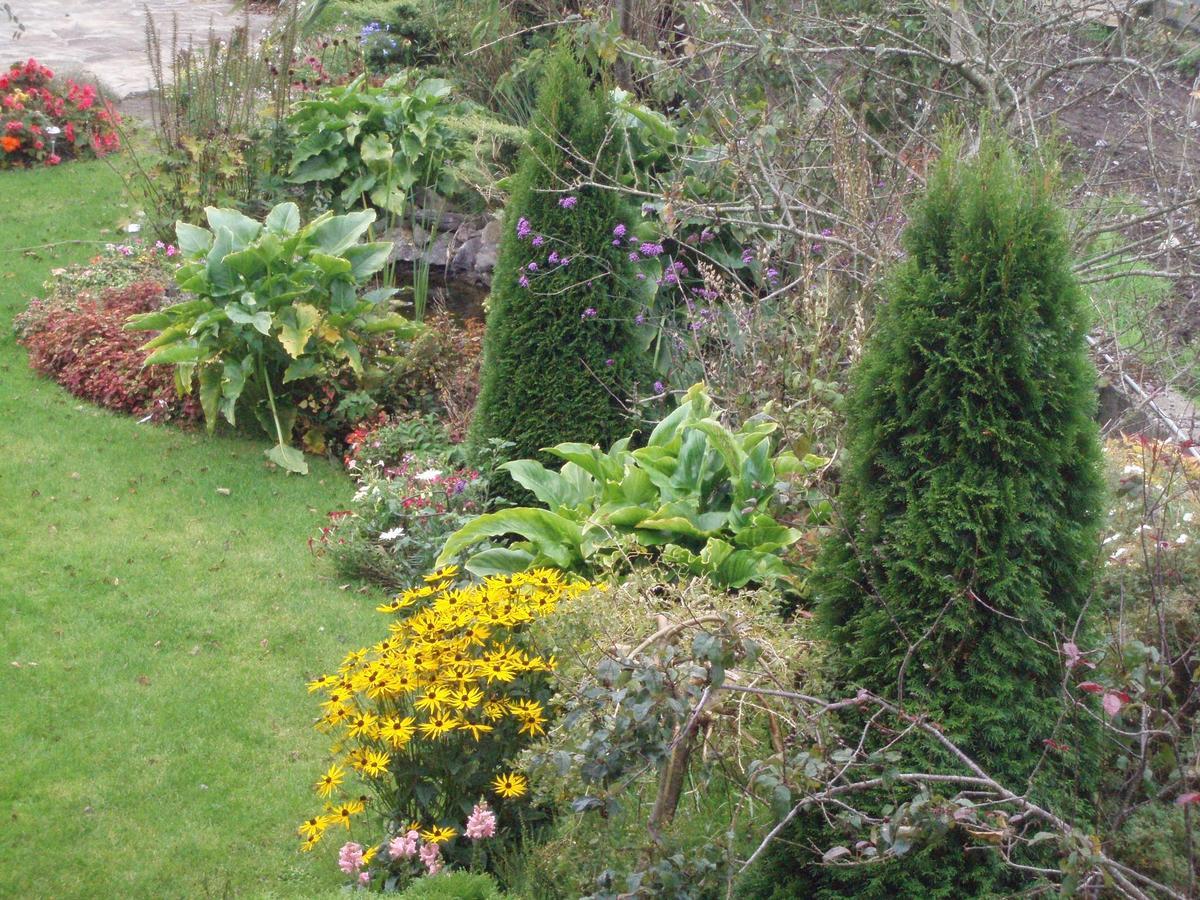 Rosdarrig Bed & Breakfast Boyle Exterior foto